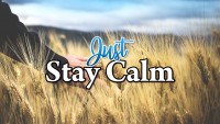 &amp;#39;Bly net kalm&amp;#39; – Dr Leslie Keegel
