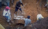 Papoea-Nieu-Guinee Aardbewing plat dorpe