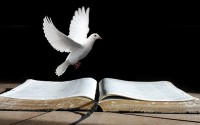 It's Word and Spirit time